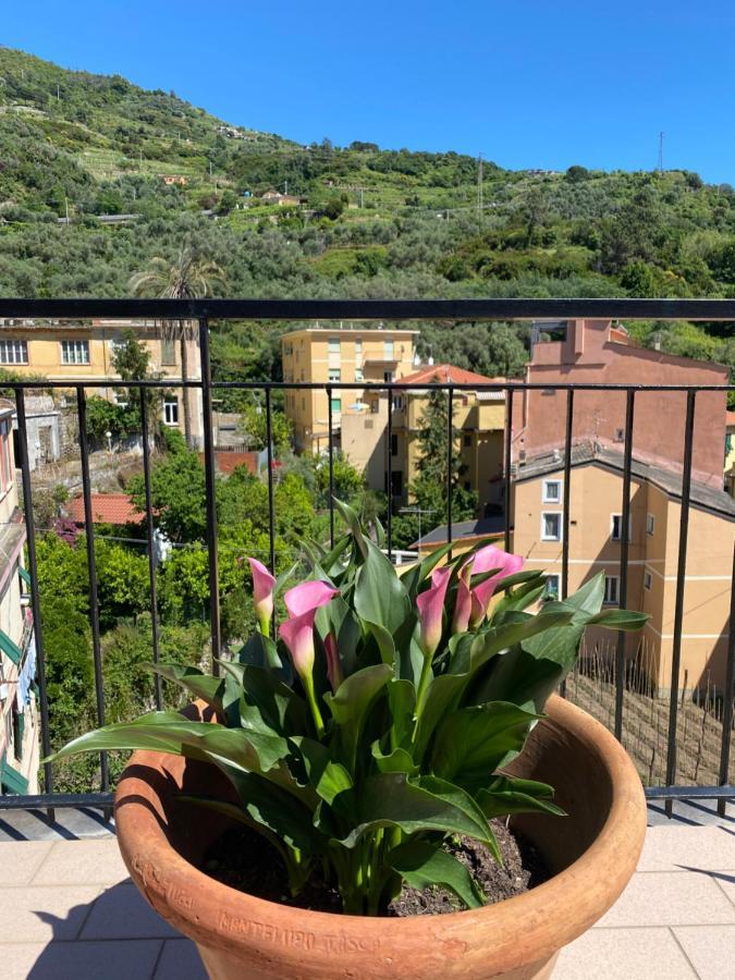 Апартаменты La Terrazza Di Monterosso Монтероссо-аль-Маре Экстерьер фото