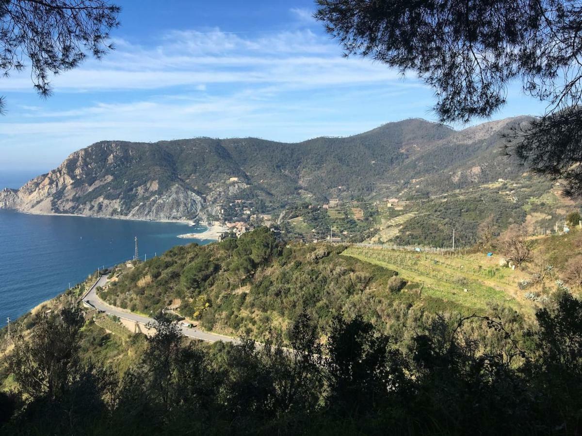 Апартаменты La Terrazza Di Monterosso Монтероссо-аль-Маре Экстерьер фото
