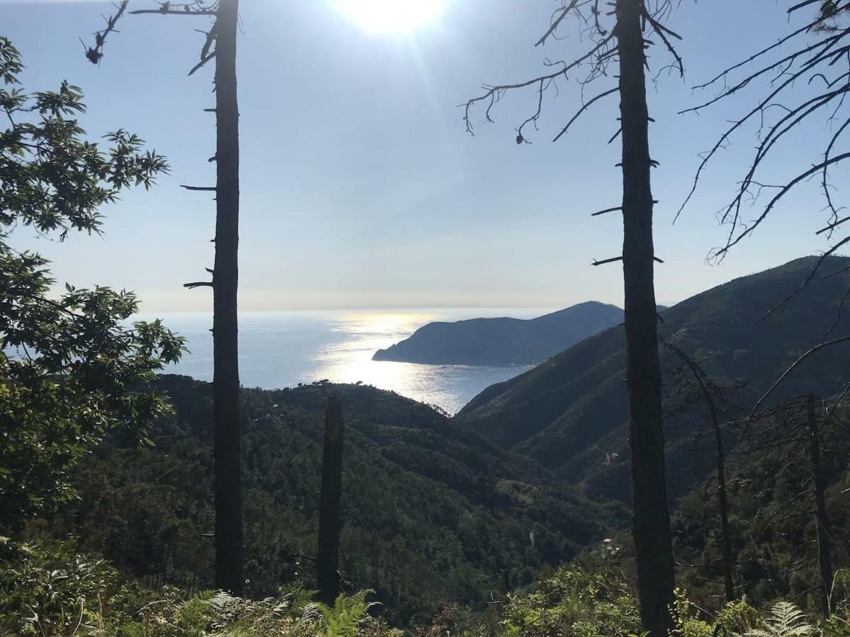 Апартаменты La Terrazza Di Monterosso Монтероссо-аль-Маре Экстерьер фото